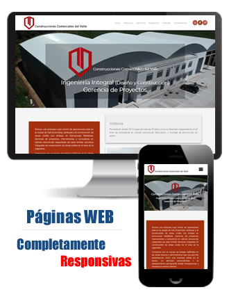 Desarrollo de Paginas Web en Cali - Colombia